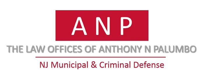 The Law Offices of Anthony N. Palumbo Picture 10