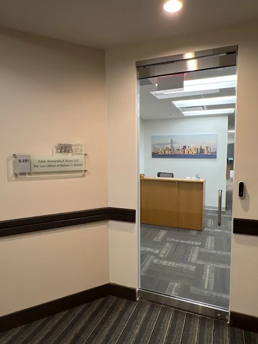 The Law Offices of Michael J. Borrelli, P.L.L.C. Picture 1