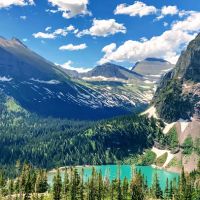 Vanarelli & Li, LLC ico