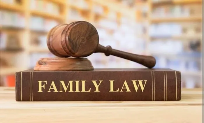 Family Focused Legal Solutions Picture 1