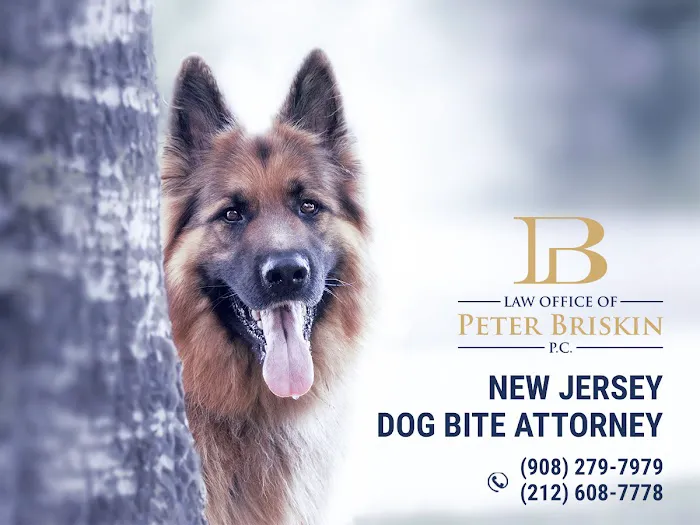 Law Office of Peter Briskin – NJ Injury & Accident Attorney Picture 2
