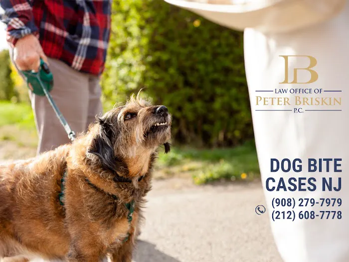 Law Office of Peter Briskin – NJ Injury & Accident Attorney Picture 1
