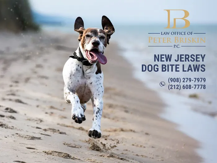Law Office of Peter Briskin – NJ Injury & Accident Attorney Picture 5
