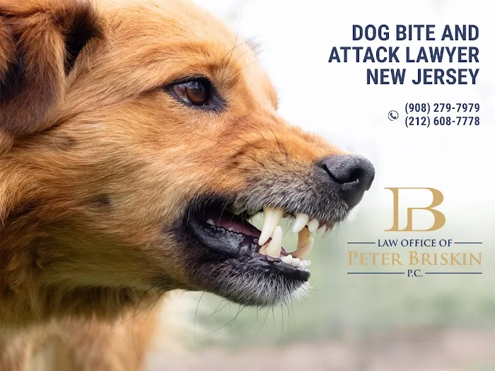 Law Office of Peter Briskin – NJ Injury & Accident Attorney Picture 4