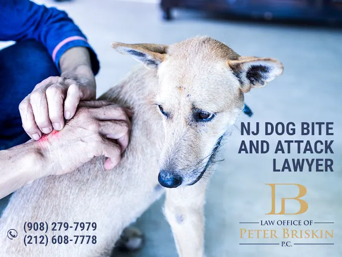 Law Office of Peter Briskin – NJ Injury & Accident Attorney Picture 3