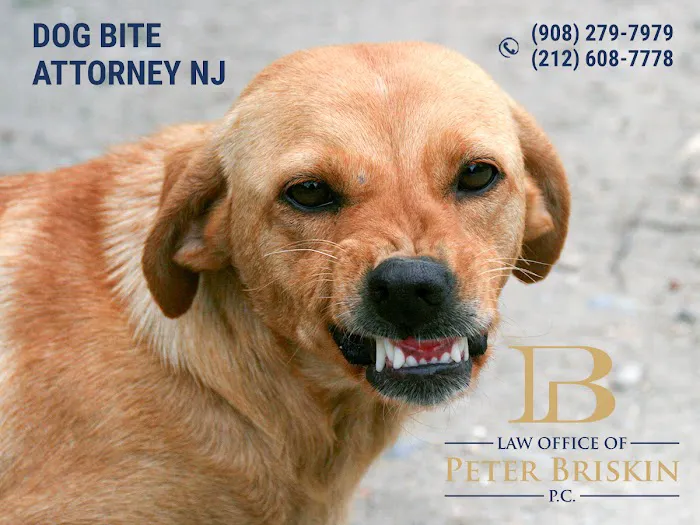 Law Office of Peter Briskin – NJ Injury & Accident Attorney Picture 8