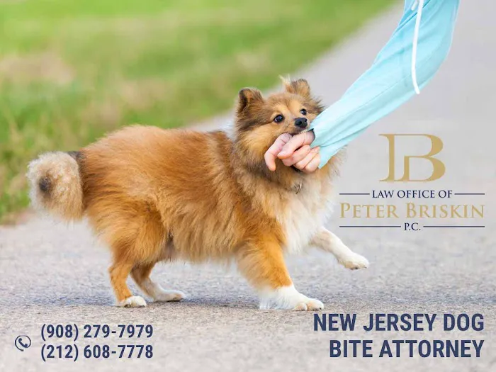Law Office of Peter Briskin – NJ Injury & Accident Attorney Picture 7