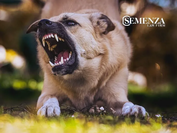 Semenza Law Firm Picture 2