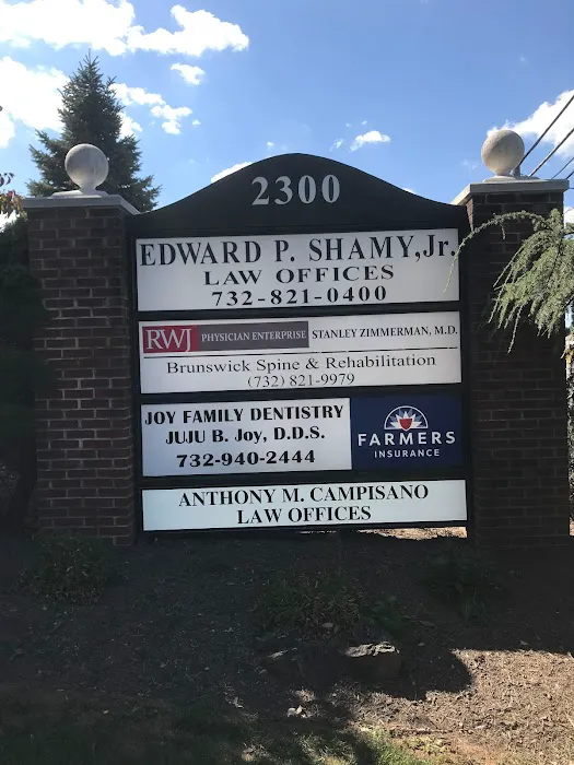 Law Offices of Anthony M. Campisano, Esq. Picture 2
