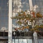 Riker Danzig LLP