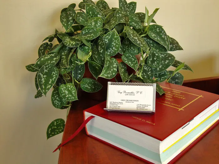 Law Offices of Greg Prosmushkin, P.C. Picture 3