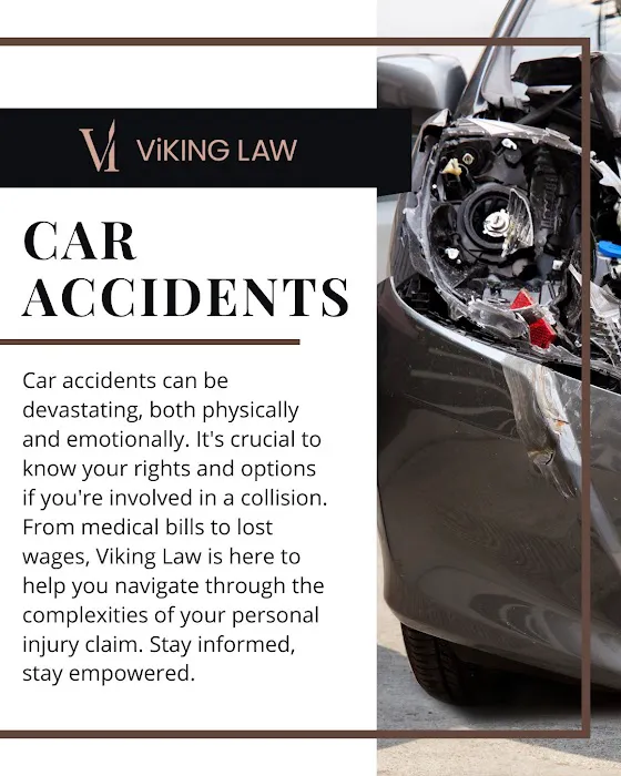 ViKing Law Picture 1