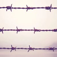 Peters Law Firm ico