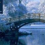 New Hope Divorce Mediation - Warrington, PA