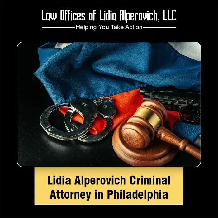 The Law Offices of Lidia Alperovich Picture 3