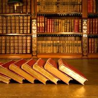 The Law Offices of Lidia Alperovich ico