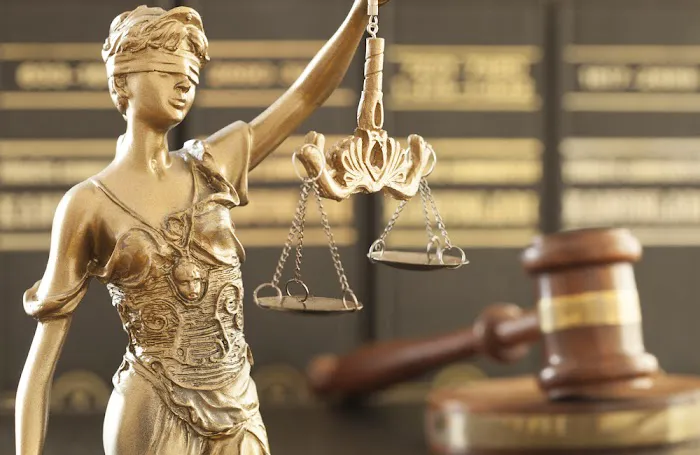 The Law Offices of Lidia Alperovich Picture 7