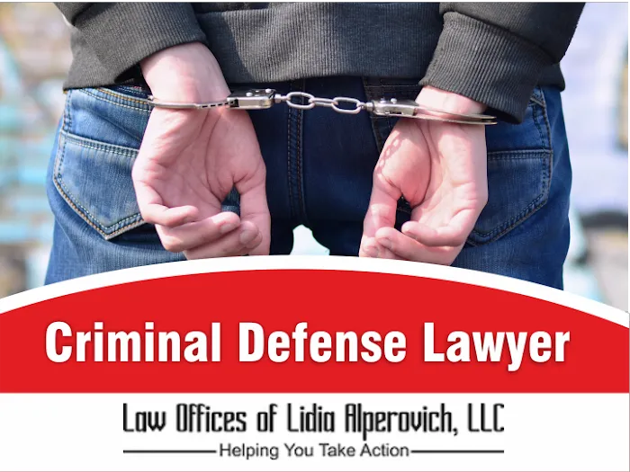 The Law Offices of Lidia Alperovich Picture 10