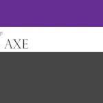 Law Offices Of Neal S Axe LLC