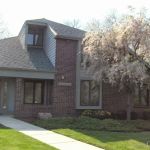 Ilene Young Law Offices