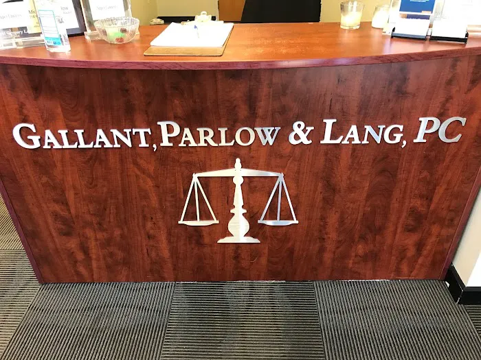 Attorney Paul Lang Picture 1