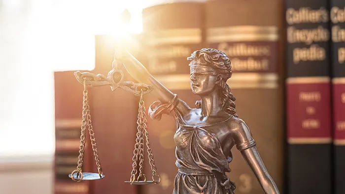 THE HANNYE LAW FIRM Picture 1