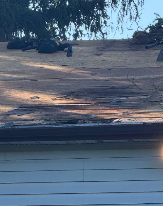 NorthStar Public Adjusters Picture 8