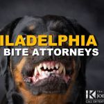 Philly Injury Lawyer - Philadelphia Car Accident Attorneys