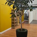 Cordisco & Saile, LLC | Philadelphia Personal Injury & Car Accident Lawyers