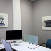 Law Offices of Michele Finizio ico