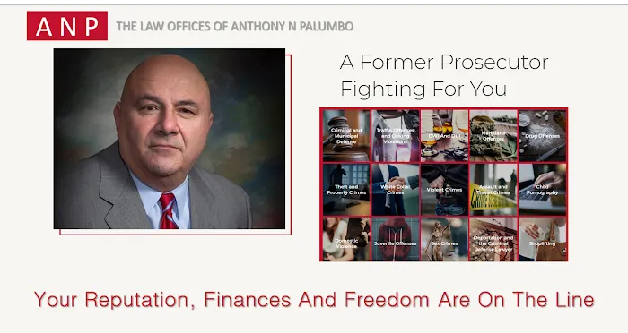 Law Offices of Anthony N. Palumbo Picture 1
