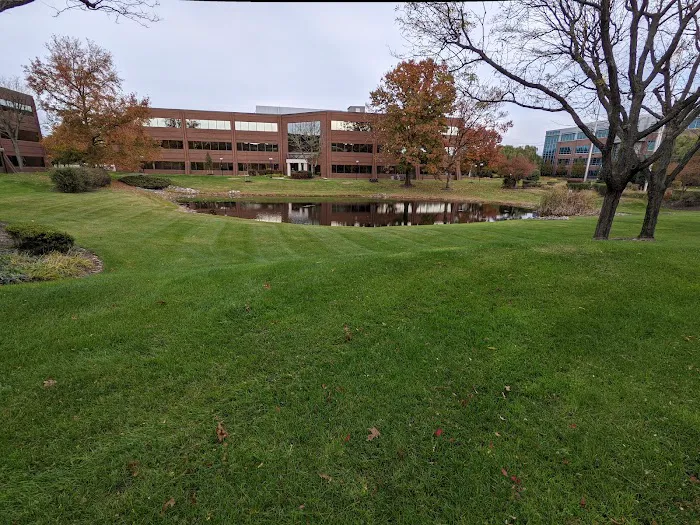 Levinson Axelrod, P.A. Picture 5