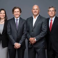 Hagelgans & Veronis, LLP ico