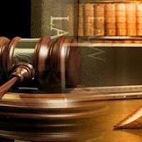 Whitman LLC ico