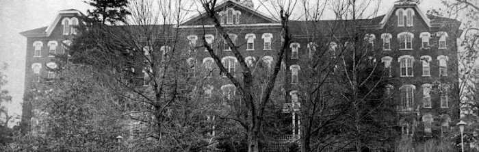 Whitman LLC Picture 3