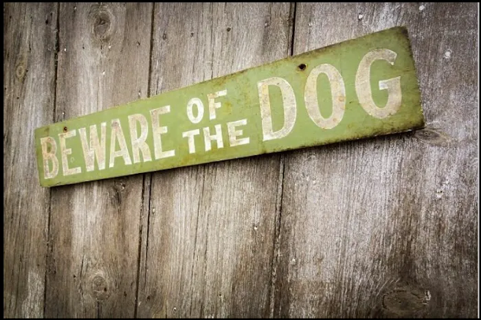 The PA Dog Bite Lawyer Jeffrey H. Penneys, P.C. Picture 9
