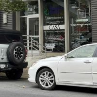 Georgelis, Larsen & Sabatino Injury Law Firm, P.C. ico