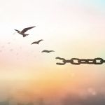 Bankruptcy Lawyers at Bankruptcy Done Right