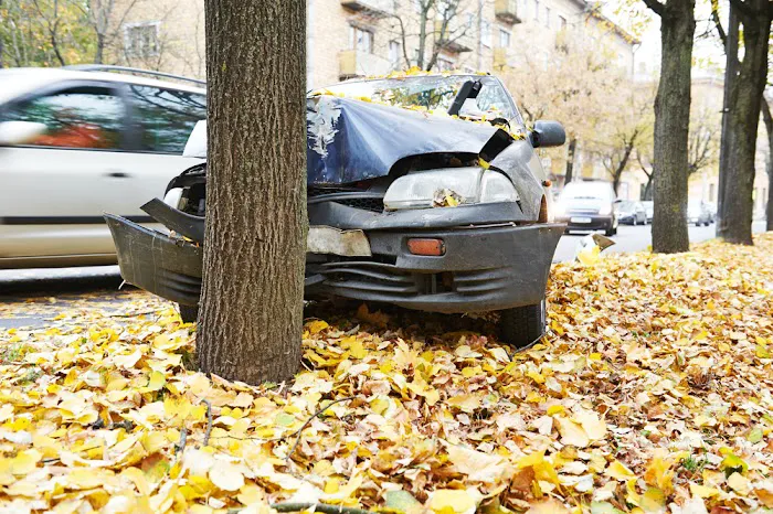 Wilk Law Personal Injury & Car Accident Lawyers Picture 8