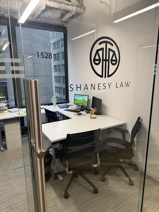 Shanesy Law Picture 7