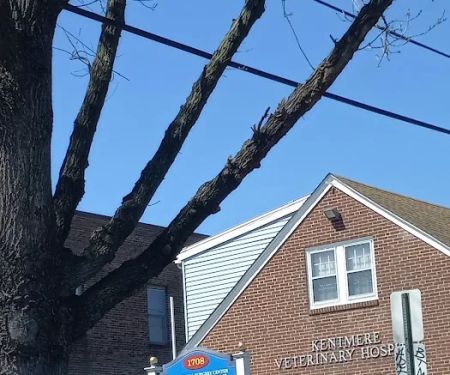 Delaware Car Accident & Injury Attorney at Law, DiLeonardo Law