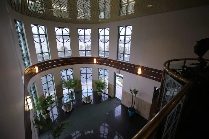 Grungo Law Picture 5