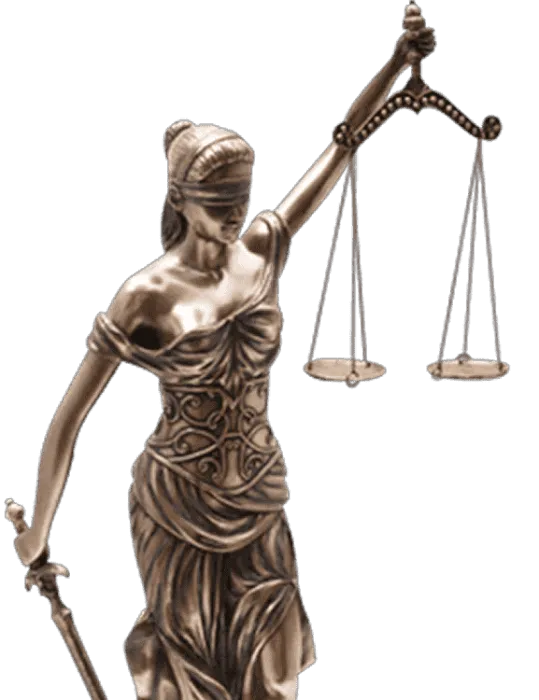 Frank Spector Law - Birth Injury and Medical Malpractice Lawyer Picture 6