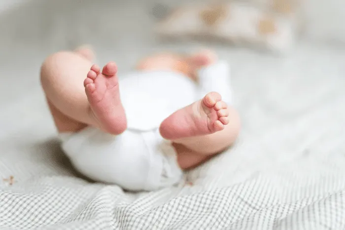 Frank Spector Law - Birth Injury and Medical Malpractice Lawyer Picture 8
