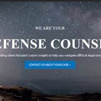 Mintzer Sarowitz Zeris & Willis LLC ico