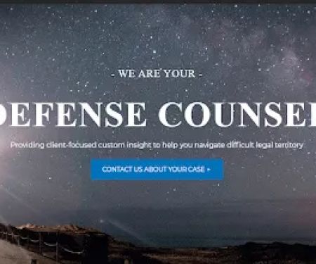 Mintzer Sarowitz Zeris & Willis LLC