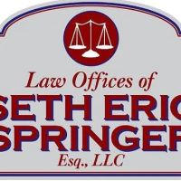 Law Offices Of Seth Eric Springer. Esq. ico