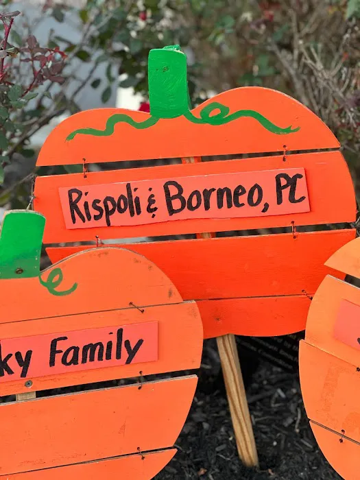 Rispoli & Borneo, P.C. Picture 3