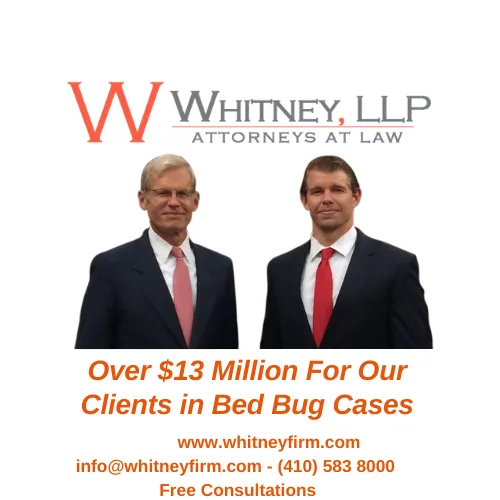 Whitney, LLP Picture 3