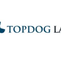 TopDog Law Personal Injury Lawyers ico